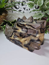 Load image into Gallery viewer, Septarian Dragon Head (Large 1.850kg)