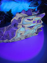 Load image into Gallery viewer, Septarian Dragon Head (Large 1.850kg)