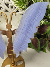 Load image into Gallery viewer, Blue Lace Agate Butterfly Wings (197g)