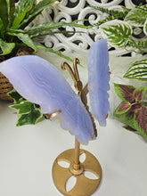 Load image into Gallery viewer, Blue Lace Agate Butterfly Wings (197g)