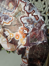 Load image into Gallery viewer, Mexican Crazy Lace Butterfly Wings on Stand (707g)