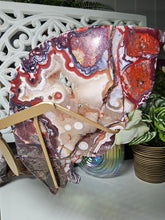 Load image into Gallery viewer, Mexican Crazy Lace Butterfly Wings on Stand (707g)