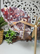 Load image into Gallery viewer, Mexican Crazy Lace Butterfly Wings on Stand (707g)