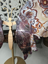 Load image into Gallery viewer, Mexican Crazy Lace Butterfly Wings on Stand (707g)
