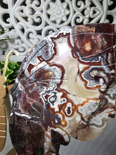 Load image into Gallery viewer, Mexican Crazy Lace Butterfly Wings on Stand (707g)