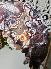 Load image into Gallery viewer, Mexican Crazy Lace Butterfly Wings on Stand (707g)