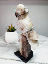 Load image into Gallery viewer, Peruvian Quantum Quartz (Chrysocolla in Quartz) Cockatoo on Clear Quartz Cluster Base
