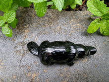 Load image into Gallery viewer, Platypus Black Obsidian Carving