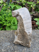 Load image into Gallery viewer, Herkimer Diamond Raw Cave #431