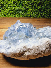 Load image into Gallery viewer, Celestite Raw Freeforms