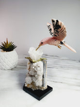 Load image into Gallery viewer, Peruvian Rhodonite Hummingbird on Quartz Cluster Base On White Jade Flower with Serpentine Leaves