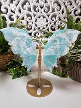 Load image into Gallery viewer, Amazonite Butterfly (638g)
