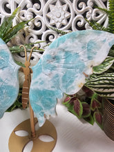 Load image into Gallery viewer, Amazonite Butterfly (638g)
