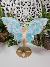 Load image into Gallery viewer, Amazonite Butterfly (638g)
