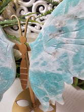 Load image into Gallery viewer, Amazonite Butterfly (638g)
