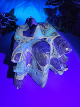 Load image into Gallery viewer, Septarian Dragon Head (Large 1.850kg)
