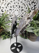 Load image into Gallery viewer, Black Flower Agate Angel &amp; Demon Wings (659g)
