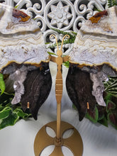 Load image into Gallery viewer, Mexican Crazy Lace Agate Butterfly (676g)
