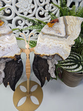 Load image into Gallery viewer, Mexican Crazy Lace Agate Butterfly (676g)
