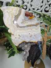 Load image into Gallery viewer, Mexican Crazy Lace Agate Butterfly (676g)
