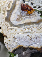 Load image into Gallery viewer, Mexican Crazy Lace Agate Butterfly (676g)
