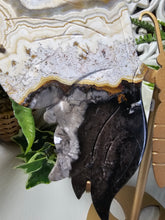 Load image into Gallery viewer, Mexican Crazy Lace Agate Butterfly (676g)
