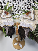 Load image into Gallery viewer, Mexican Crazy Lace Agate Butterfly (676g)
