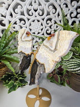 Load image into Gallery viewer, Mexican Crazy Lace Agate Butterfly (676g)
