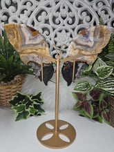 Load image into Gallery viewer, Mexican Crazy Lace Agate Butterfly (676g)
