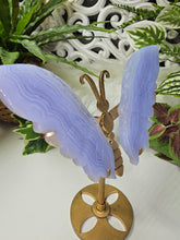 Load image into Gallery viewer, Blue Lace Agate Butterfly Wings (197g)
