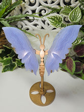 Load image into Gallery viewer, Blue Lace Agate Butterfly Wings (197g)
