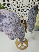 Load image into Gallery viewer, Orbicular Ocean Jasper Butterfly Wings on Stand (605g)
