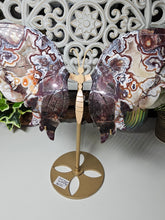 Load image into Gallery viewer, Mexican Crazy Lace Butterfly Wings on Stand (707g)
