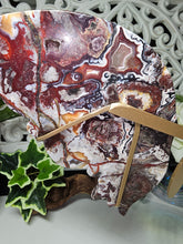 Load image into Gallery viewer, Mexican Crazy Lace Butterfly Wings on Stand (707g)
