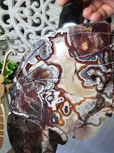 Load image into Gallery viewer, Mexican Crazy Lace Butterfly Wings on Stand (707g)

