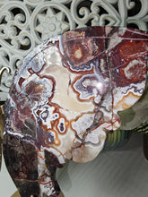 Load image into Gallery viewer, Mexican Crazy Lace Butterfly Wings on Stand (707g)
