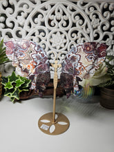 Load image into Gallery viewer, Mexican Crazy Lace Butterfly Wings on Stand (707g)
