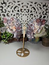 Load image into Gallery viewer, Mexican Crazy Lace Butterfly Wings on Stand (707g)

