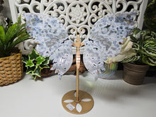 Load image into Gallery viewer, Orbicular Ocean Jasper Butterfly Wings on Stand (605g)
