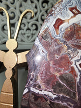 Load image into Gallery viewer, Mexican Crazy Lace Butterfly Wings on Stand (707g)
