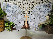 Load image into Gallery viewer, Orbicular Ocean Jasper Butterfly Wings on Stand (605g)
