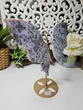 Load image into Gallery viewer, Orbicular Ocean Jasper Butterfly Wings on Stand (605g)
