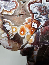 Load image into Gallery viewer, Mexican Crazy Lace Butterfly Wings on Stand (707g)
