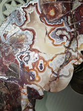 Load image into Gallery viewer, Mexican Crazy Lace Butterfly Wings on Stand (707g)

