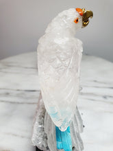 Load image into Gallery viewer, Peruvian Clear Quartz Parrot on Clear Quartz Cluster Base
