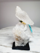 Load image into Gallery viewer, Peruvian Clear Quartz Parrot on Clear Quartz Cluster Base
