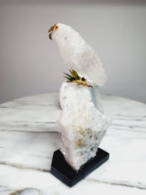 Load image into Gallery viewer, Peruvian Clear Quartz Parrot on Clear Quartz Cluster Base
