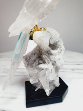 Load image into Gallery viewer, Peruvian Clear Quartz Parrot on Clear Quartz Cluster Base

