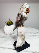 Load image into Gallery viewer, Peruvian Quantum Quartz (Chrysocolla in Quartz) Cockatoo on Clear Quartz Cluster Base
