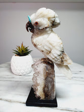 Load image into Gallery viewer, Peruvian Quantum Quartz (Chrysocolla in Quartz) Cockatoo on Clear Quartz Cluster Base
